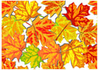 immagini foglie d'autunno