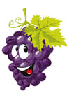 immagini frutta - uva