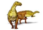 immagini Iguanodont