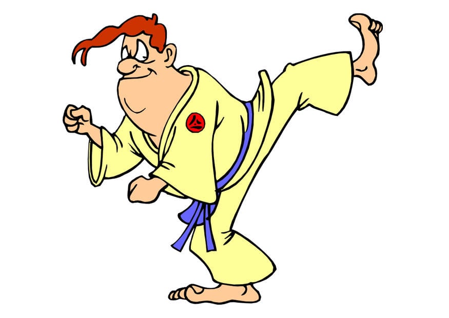 immagine karate