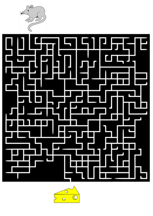 immagine labirinto