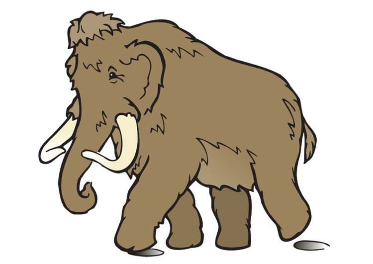 immagine mammut