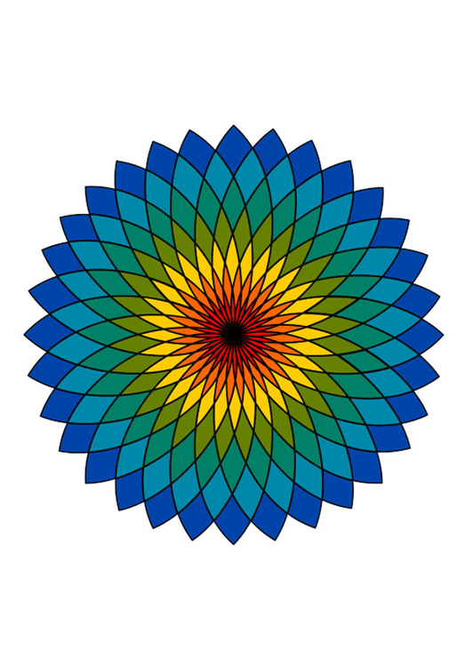 immagine mandala