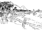 Disegno da colorare mare - spiaggia