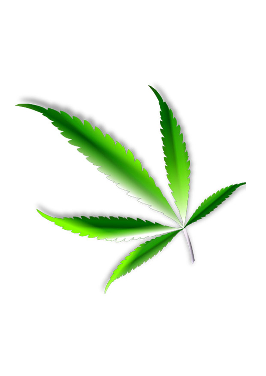 immagine marihuana