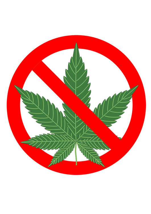 immagine marihuana vietata