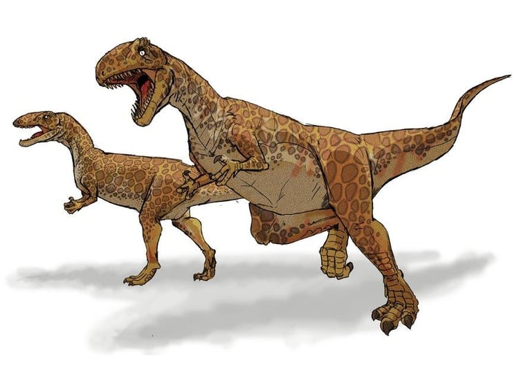 immagine Megalosauro