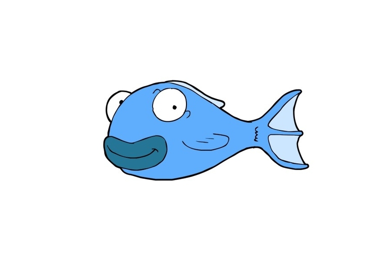 immagine pesce