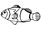 Disegno da colorare pesce rosso