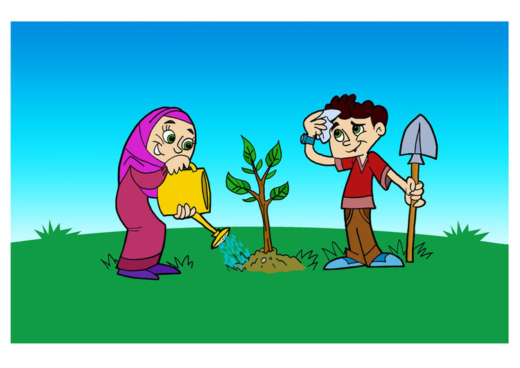 immagine piantare un'albero