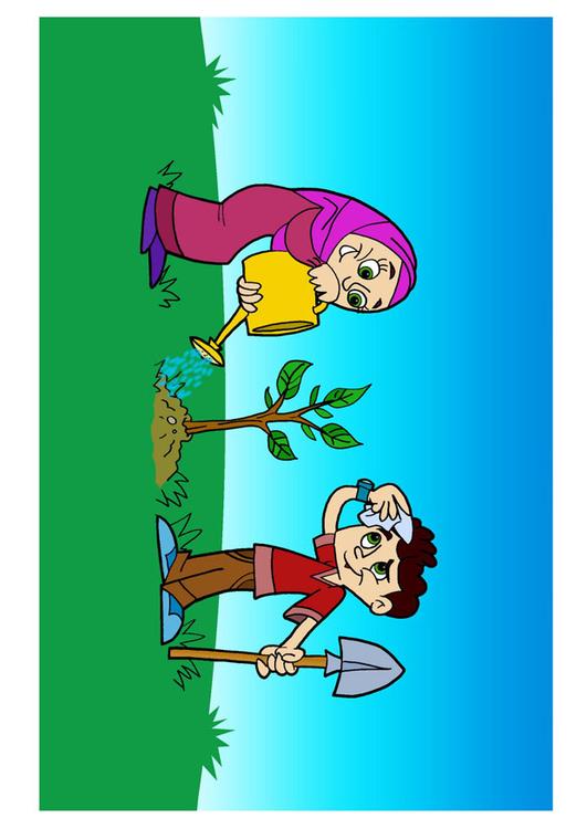 piantare un'albero