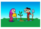 piantare un'albero