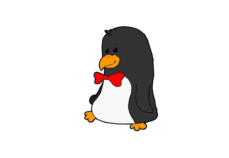 immagine pinguino