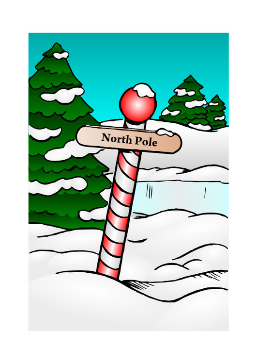 immagine Polo Nord