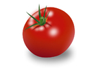 pomodoro