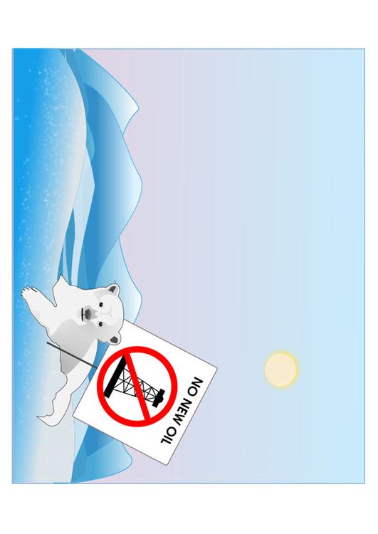 protezione dell'orso polare