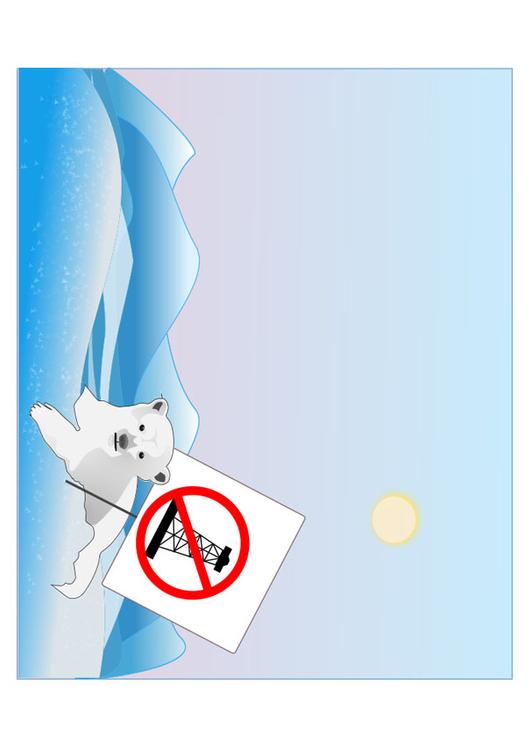 protezione dell'orso polare