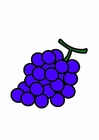 immagini uva