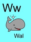immagine w