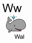 immagine w