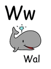 immagine w