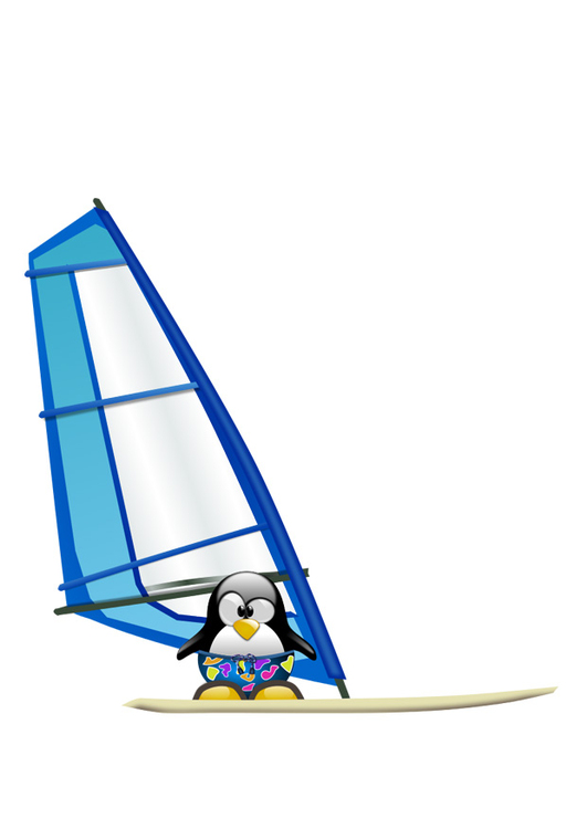immagine windsurf