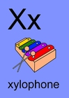 immagine x